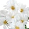12" Daisy Bush by Ashland®